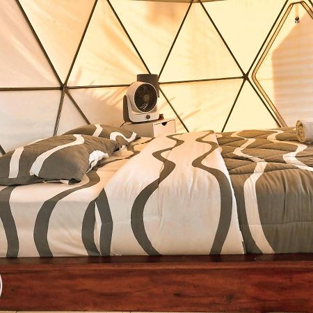 מלון Kintamani Igloo Glamping Bali מראה חיצוני תמונה