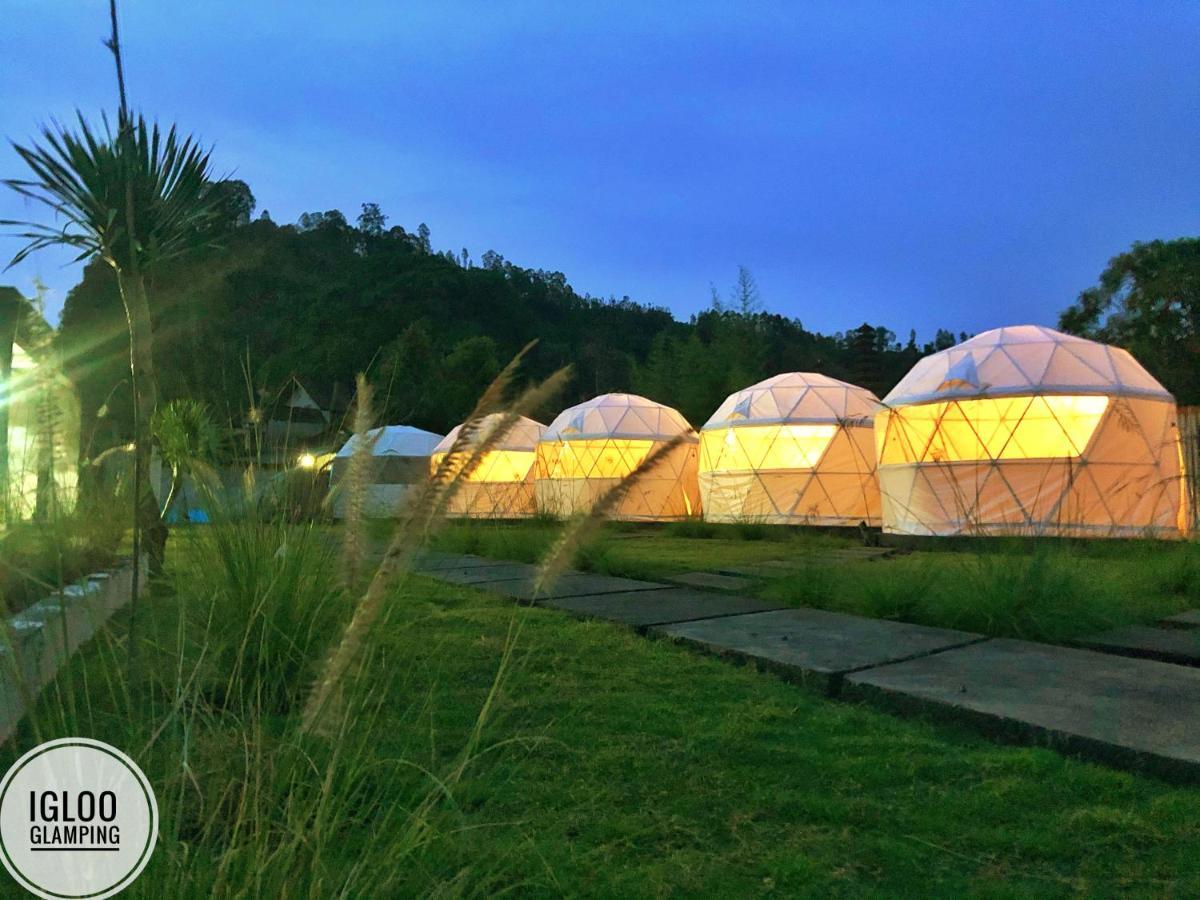 מלון Kintamani Igloo Glamping Bali מראה חיצוני תמונה